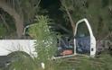 Κρήτη: Οδηγός έχασε τον έλεγχο του αυτοκινήτου και έπεσε πάνω στα δέντρα [Photos] - Φωτογραφία 2