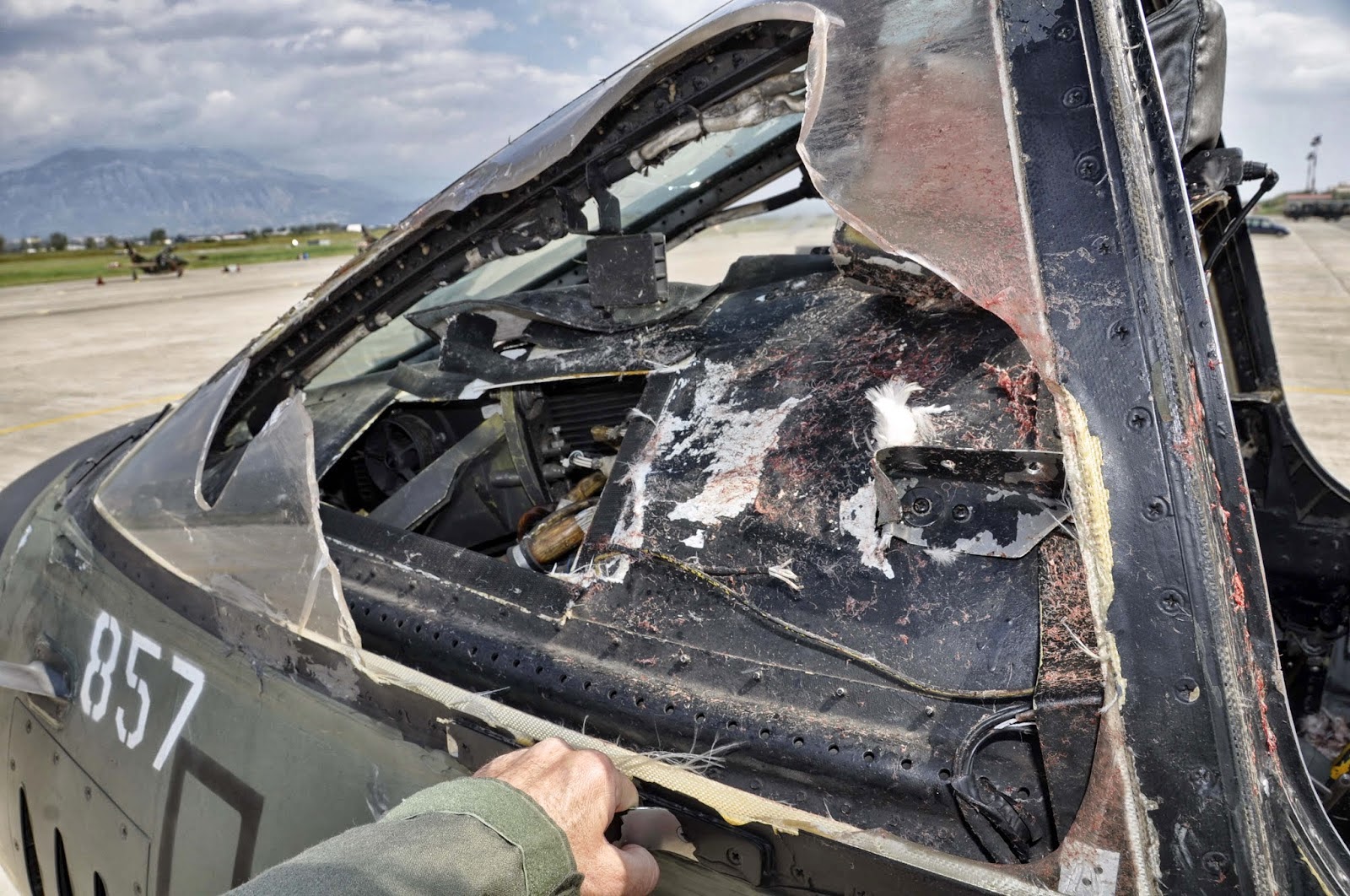 Πουλί χτύπησε F - 4 Phantom - Αναγκαστική προσγείωση στην Καλαμάτα - Φωτογραφία 1