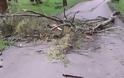 Βόνιτσα: Έκλεισε πάλι ο δρόμος από σπασμένα κλαδιά δένδρων