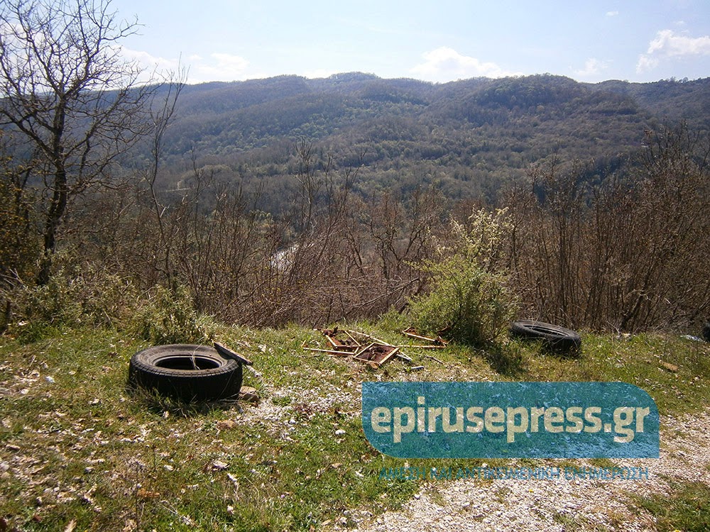 Αρκούδα επιτέθηκε στα Κούρεντα Ιωαννίνων - Φωτογραφία 2