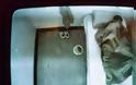 Νέες αποκαλύψεις για τον θάνατο του Ιλία Καρέλι- Τι έγινε στις φυλακές Νιγρίτας - Φωτογραφία 1