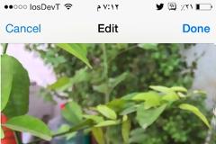 Rendarya: Cydia tweak new v1.0-1 ($1.99)..αυτό που έλειπε από τις εικόνες σας