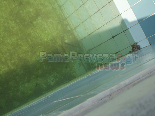 Πρέβεζα - Κολυμβητήριο: Τα βατράχια που περιμένουν να γίνουν… πρίγκιπες στην πισίνα - Φωτογραφία 2