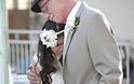 Συγκινητικό: Ο ετοιμοθάνατος πατέρας συνόδευσε την 11χρονη κόρη του στον ψεύτικο γάμο της [Photos - Video] - Φωτογραφία 8