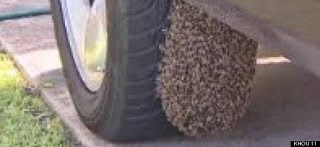 Πήγε στο αυτοκίνητο της και έπαθε ΣΟΚ με αυτό που αντίκρισε... [photo] - Φωτογραφία 2