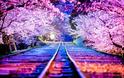 Οι ανθισμένες κερασιές της Ιαπωνίας είναι ένα μοναδικό θέαμα που πρέπει να δεις - Φωτογραφία 1