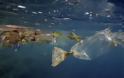 Ψάχνουν το χαμένο Boeing και βρίσκουν σκουπίδια: Γιγάντιαιες χωματερές οι ωκεανοί της Γης