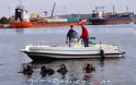 Η Λέσχη Ελλήνων Καταδρομέων Πρέβεζας καθάρισε το Λιμάνι της Πρέβεζας [Photos - Videos] - Φωτογραφία 5