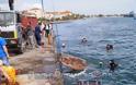 Η Λέσχη Ελλήνων Καταδρομέων Πρέβεζας καθάρισε το Λιμάνι της Πρέβεζας [Photos - Videos] - Φωτογραφία 9