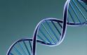 Τεστ DNA «θα ανιχνεύει γρήγορα τον καρκίνο»