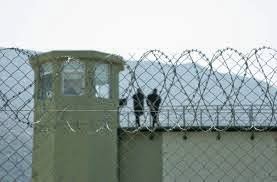 Συνελήφθη δραπέτης των φυλακών Μαλανδρίνου που κρυβόταν στην Αλβανία - Φωτογραφία 1