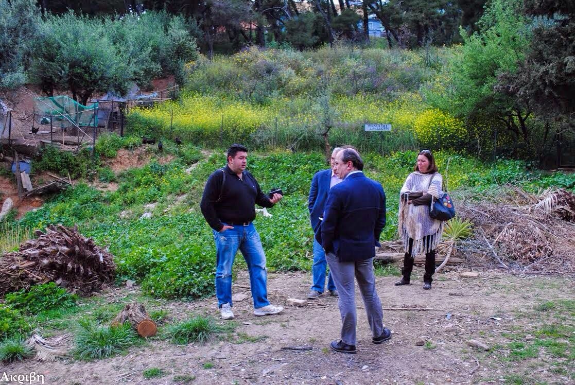 Περιοδεία Νίκου Οικονομόπουλου στε γειτονιές της Πάτρας - Δείτε φωτο - Φωτογραφία 2