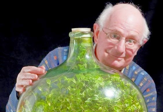 80χρονος διατηρεί «αθάνατο» φυτό σε σφραγισμένο μπουκάλι από το 1972 [video] - Φωτογραφία 1