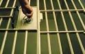 Σε αργία τέθηκαν 6 σωφρονιστικοί υπάλληλοι των φυλακών Νιγρίτας