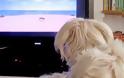 Το Discovery αγόρασε… κανάλι για σκύλους