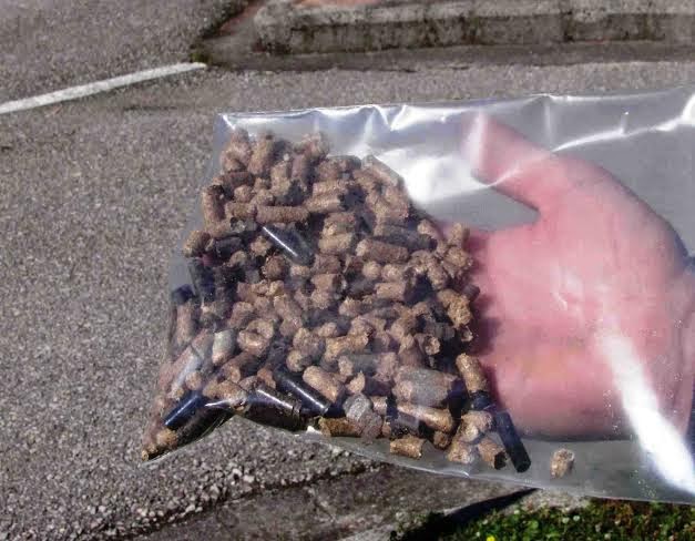 Πραγματοποιήθηκε παρουσία του Δημάρχου Λαμιέων η επίδειξη παραγωγής pellet από δημοτικά κλαδεύματα - Φωτογραφία 4