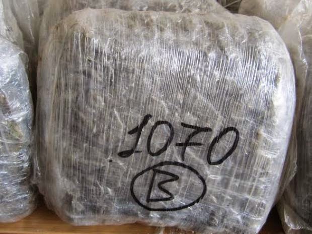 Πάτρα: Εξαρθρώθηκε κύκλωμα διακίνησης ναρκωτικών - Κατασχέθηκαν πάνω από 12 κιλά κάνναβης - Δείτε φωτο - Φωτογραφία 3
