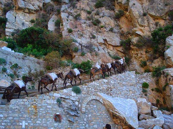 Μεγάλη εβδομάδα στο Άγιο Όρος! - Φωτογραφία 3