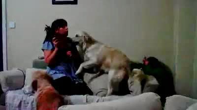 Μάνα μάλωνε το παιδί της και τα σκυλιά το προστάτεψαν! [video] - Φωτογραφία 1