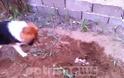 Φρίκη: Ασυνείδητος στην Ηλεία έθαψε ζωντανά κουτάβια - Σοκαριστικές φωτο - Φωτογραφία 4