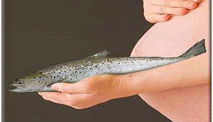 Επικίνδυνα τα ψάρια στην εγκυμοσύνη - Φωτογραφία 1