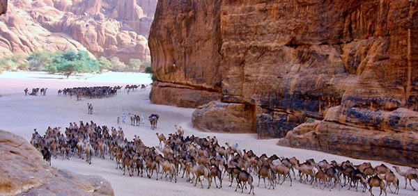 Μια όαση δροσιάς μέσα στην έρημο Σαχάρα! [photos] - Φωτογραφία 6