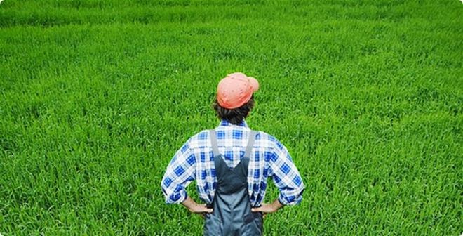 «Μποναμάς» 55 εκατ. ευρώ στους αγρότες πριν το Πάσχα - Φωτογραφία 1