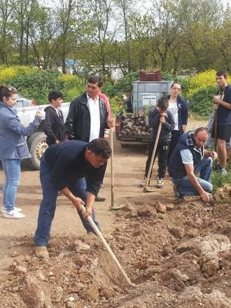 800 δέντρα φυτεύτηκαν στο Νεοχωράκι Θηβών ! - Φωτογραφία 3