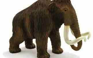 Μαμούθ και ελέφαντες θα κατασκευάσουν παιδιά του δημοτικού στη Σιάτιστα - Φωτογραφία 1