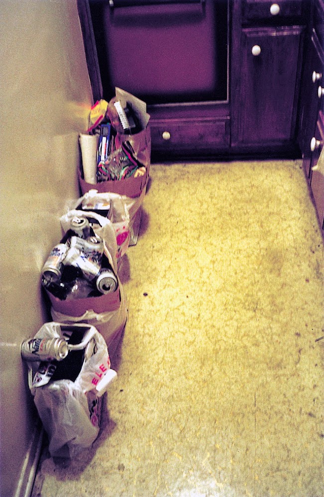 Φωτογραφίες από τα Μπάνια και τις Κουζίνες των Αμερικανών Εργένηδων - Φωτογραφία 10