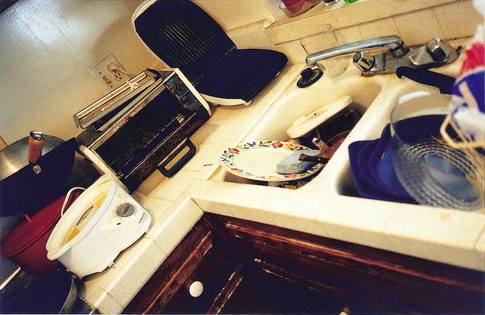 Φωτογραφίες από τα Μπάνια και τις Κουζίνες των Αμερικανών Εργένηδων - Φωτογραφία 2