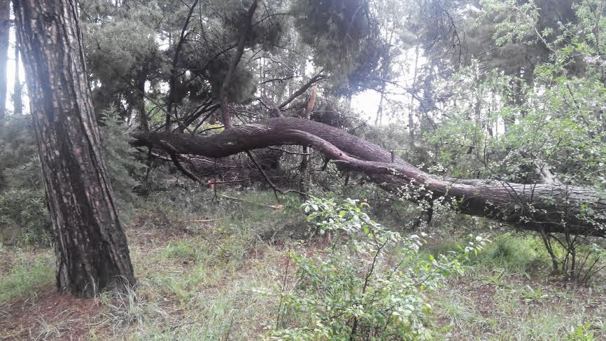 Όχι μόνο έργα βιτρίνας... - Φωτογραφία 3