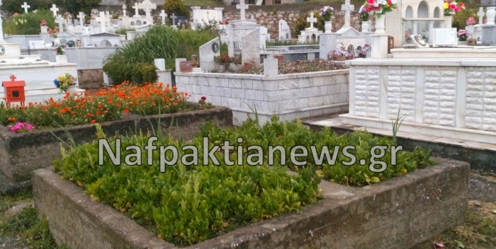 Μποστάνι σε νεκροταφείο της Ναυπάκτου… - Φωτογραφία 1