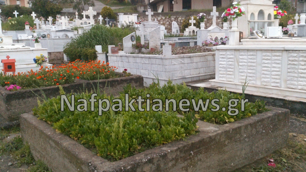 Μποστάνι σε νεκροταφείο της Ναυπάκτου… - Φωτογραφία 5