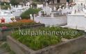 Μποστάνι σε νεκροταφείο της Ναυπάκτου… - Φωτογραφία 5