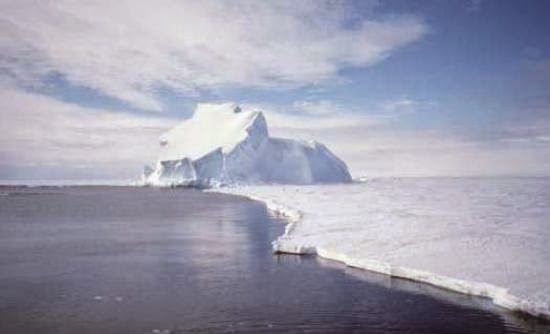 Οταν η Ανταρκτική θύμιζε Καλιφόρνια - Φωτογραφία 1