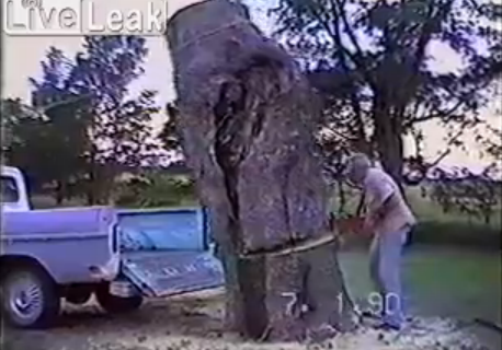 Η κοπή ενός δέντρου κατευθείαν στην καρότσα του φάνηκε καλή ιδέα! - Σίγουρα δεν περίμενε αυτό που συνέβη  [video] - Φωτογραφία 1