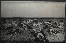 24η Απριλίου 1915: Η Γενοκτονία των Αρμενίων, από τη προμελέτη στη διάπραξη - Φωτογραφία 3