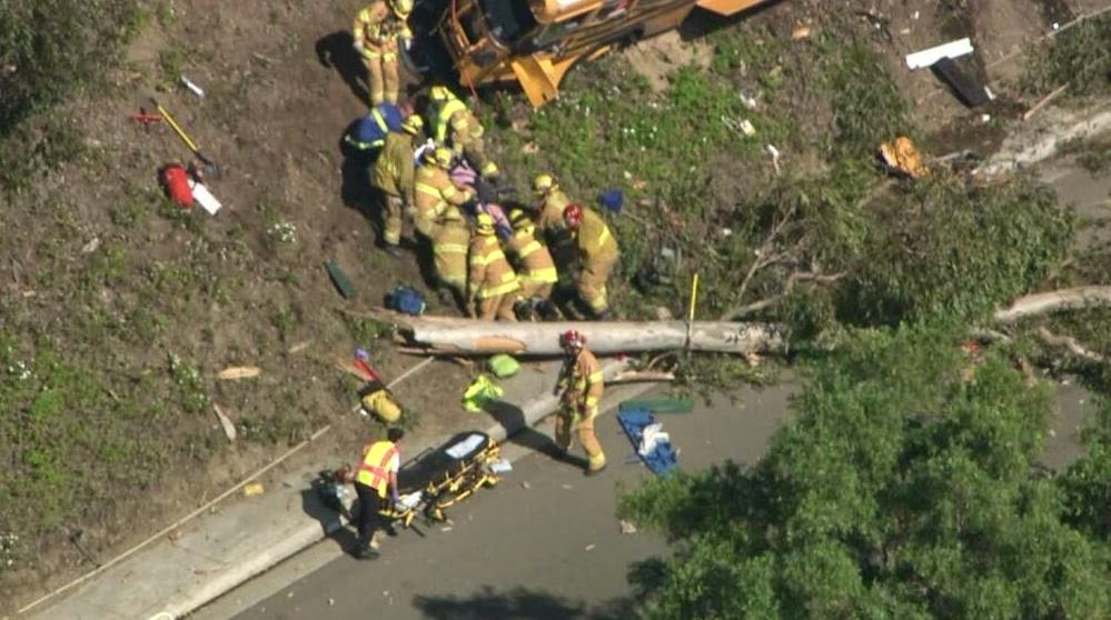 Σχολικό λεωφορείο έπεσε πάνω στα δέντρα με αποτέλεσμα 9 άτομα να τραυματιστούν [Photos] - Φωτογραφία 1