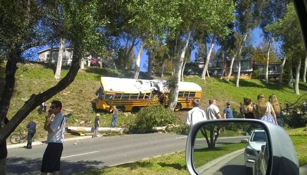Σχολικό λεωφορείο έπεσε πάνω στα δέντρα με αποτέλεσμα 9 άτομα να τραυματιστούν [Photos] - Φωτογραφία 3