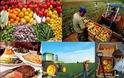 Άμεσες λύσεις ζητάνε τα προβλήματα των ελληνικών εξαγωγών αγροτικών προϊόντων