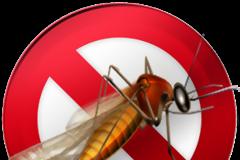 Anti Mosquito: AppStore free...διώξτε μακριά τα κουνούπια με το iphone σας