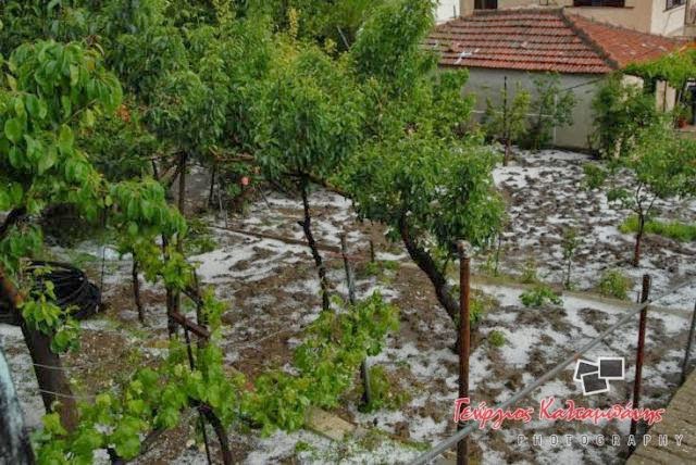 Φθιώτιδα: Άνοιξαν οι ουρανοί και η πυροσβεστική στο τρέξιμο! - Φωτογραφία 3