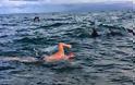 Βίντεο: Δελφίνια προστάτευσαν κολυμβητή από τους καρχαρίες