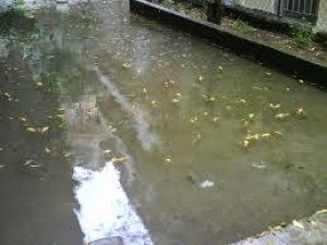 Μαγνησία: 2 περιστατικά πλημμύρας λογω... βροχόπτωσης - Φωτογραφία 1