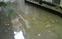 Μαγνησία: 2 περιστατικά πλημμύρας λογω... βροχόπτωσης