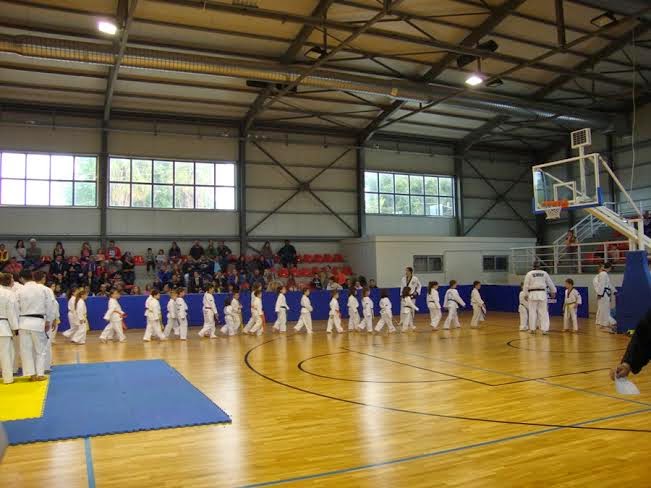 Με επιτυχία διοργανώθηκαν οι αγώνες επίδειξης πολεμικών τεχνών στο κλειστό γήπεδο Οδυσσέας Παπαδόπουλος - Φωτογραφία 3