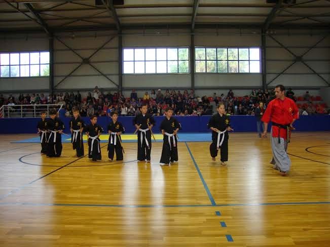 Με επιτυχία διοργανώθηκαν οι αγώνες επίδειξης πολεμικών τεχνών στο κλειστό γήπεδο Οδυσσέας Παπαδόπουλος - Φωτογραφία 7