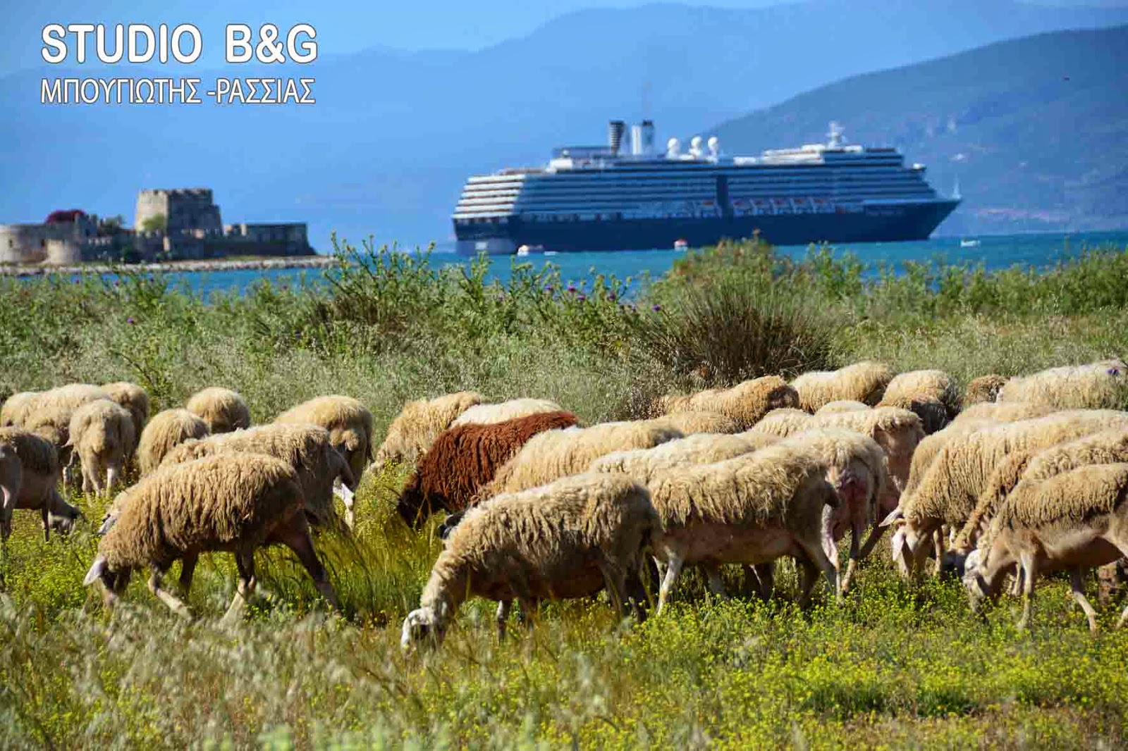 Το πρώτο μεγάλο κρουαζιερόπλοιο της Holland America στο λιμάνι του Ναυπλίου [Photos] - Φωτογραφία 5