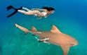 Κολυμπώντας με τους καρχαρίες - Φωτογραφία 8